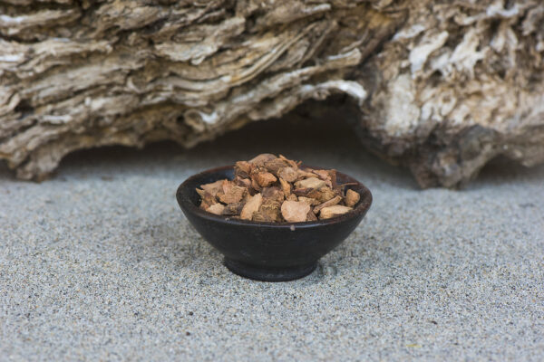 Alpinia galanga root